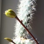 2014-03-29 11.04.57