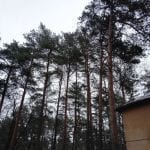 hdr