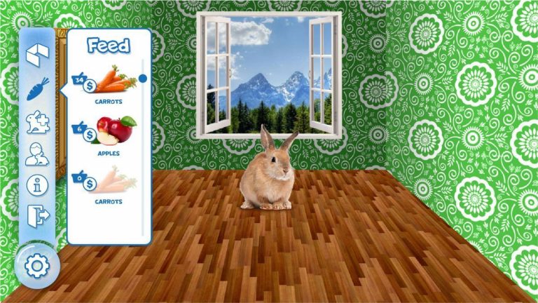 Latvijā izstrādāta My Online Pets – tiešsaistes spēle ar īstiem dzīvniekiem