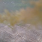 Xperia M4 Aqua foto 004