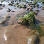 Xperia M4 Aqua foto 007