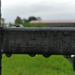 OnePlus 3 foto 007