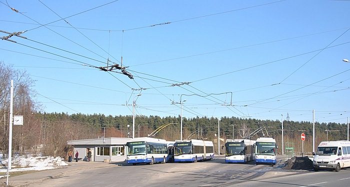 50082929