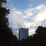 honor-5c-foto-009