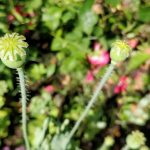 IMG_20170804_132336