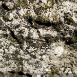 Screenshot_20170805-115434