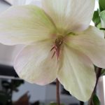 20180303_122502