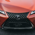 LexusKoya-4