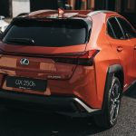 LexusKoya-5