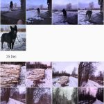 Screenshot_20181231-101058_Gallery