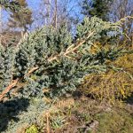 IMG_20190418_180428