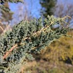 IMG_20190418_180441