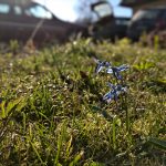 IMG_20190418_180929