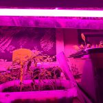 IMG_20190419_205921