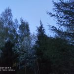 IMG_20190503_220011