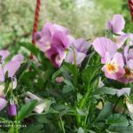 IMG_20190504_101805