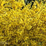 IMG_20190504_132212