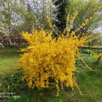 IMG_20190504_132219