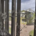 IMG_20190504_144453