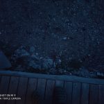 IMG_20190504_221107