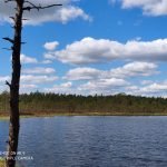 IMG_20190505_141451