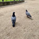 IMG_20190514_144743