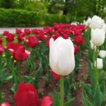 IMG_20190514_145147