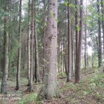 IMG_20190517_163209