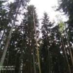 IMG_20190517_163214