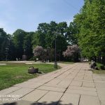 IMG_20190518_145631
