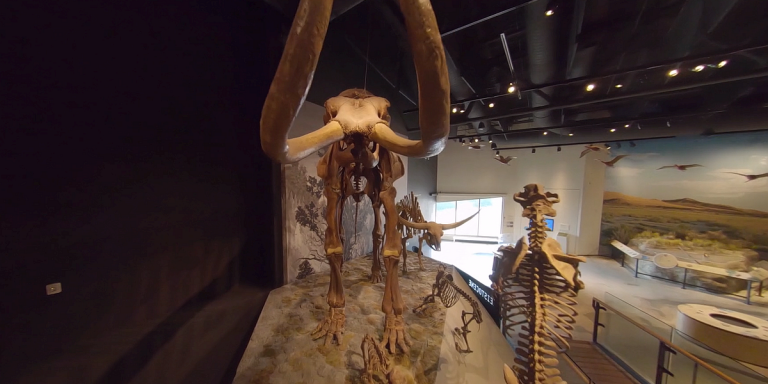 GoPro kamera izmantojama ne tikai slēpojot – muzejs nofilmējis dinozauru no iekšpuses
