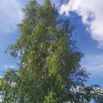 20190713_100811