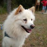 190810_142456_Outfocus