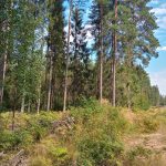 20190817_135551_HDR