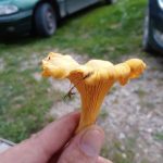 20190817_152506