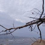 20190823_202647