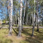 IMG_20190906_130402
