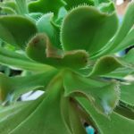 IMG_20190906_193546