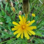 IMG_20190907_175422