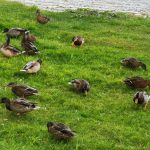 IMG_20190910_180842