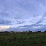 IMG_20191010_180030