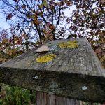 IMG_20191010_180822