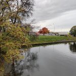 IMG_20191012_115931