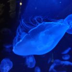 IMG_20191016_103742