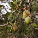 IMG_20191019_101138