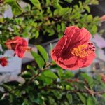 IMG_20191019_201856