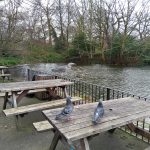 IMG_20200223_111135_4