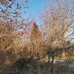 IMG_20200327_172459