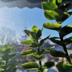 IMG_20200331_094520