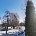 IMG_20200331_094609